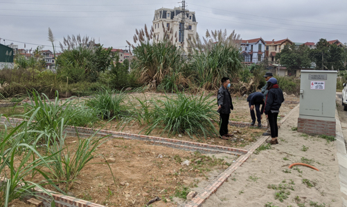 Hạ sốt đất, cần đánh vào lợi ích của hoạt động đầu cơ?