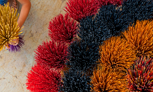 Festival nghề truyền thống Huế 2021 chính thức khởi động