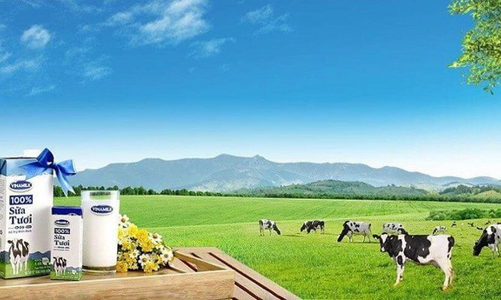 Giá đầu vào tăng mạnh, Vinamilk báo lãi giảm 6,5%