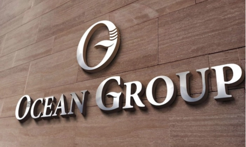 Công ty tài chính Điện lực kiện đòi OGC 115 tỷ đồng