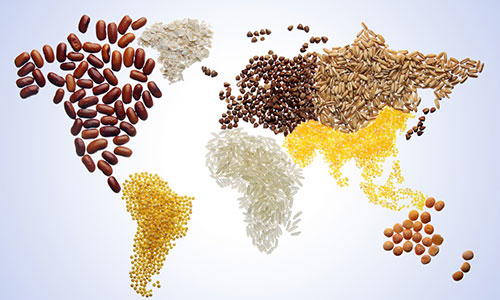 Loạt doanh nghiệp niêm yết bị 