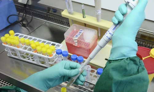 Lạng Sơn kích hoạt phương án chống dịch mức cao nhất