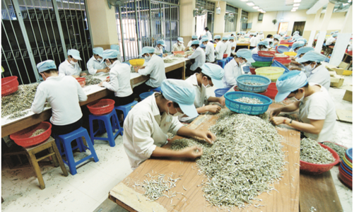 Đảm bảo việc làm bền vững cần nâng cao mức sống và cải thiện điều kiện việc làm của người lao động