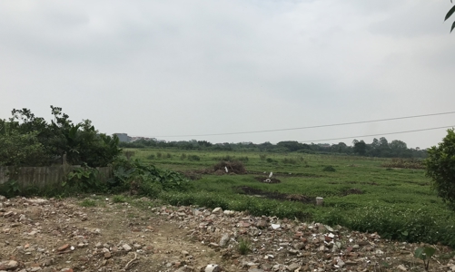 Hà Nội: 350 dự án chậm triển khai, vi phạm Luật