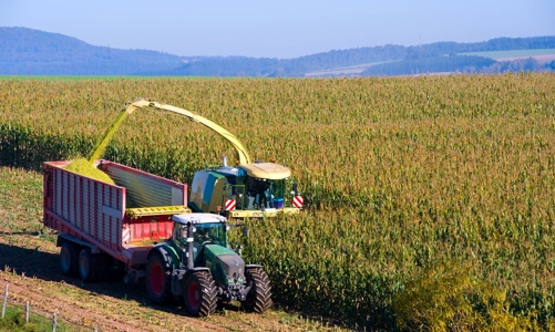 Sốt nguyên vật liệu thô tiếp tục lan rộng, đến lượt giá ngô tăng phi mã