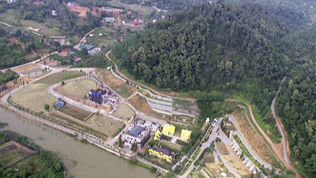 Sóc Sơn phải báo cáo khắc phục sai phạm đất rừng trước 30/6