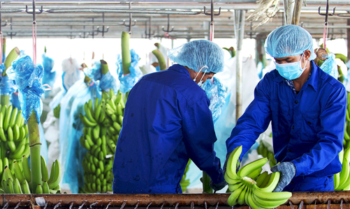 HAGL sắp thanh toán trước hạn 930 tỷ đồng cho HDBank