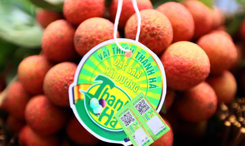 Hải Dương tìm “lối ra” cho vải thiều và nông sản giữa bão Covid-19