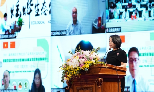 Phó Tổng giám đốc Vincommerce: 