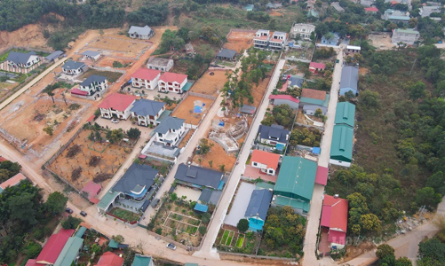 Yêu cầu xử lý dứt điểm vi phạm quản lý, sử dụng đất đai tại Vĩnh Yên