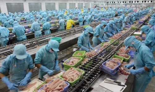 Giảm khủng hoảng việc làm?