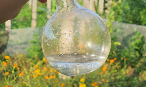 Founder Nguyễn Quang Huy, chủ nhân của những khu vườn chữa lành bằng liệu pháp mùi hương