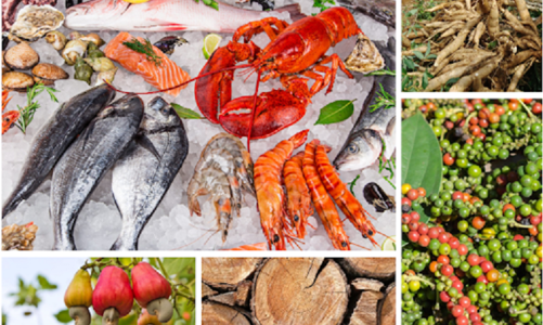 Kim ngạch xuất khẩu nông lâm thủy sản vào khối EAEU không đáng kể