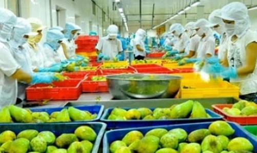 Doanh nghiệp xuất khẩu Việt Nam vẫn 