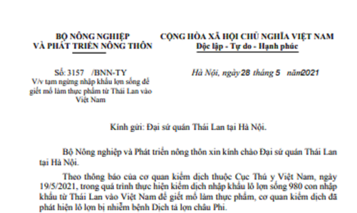 Tạm ngừng nhập khẩu lợn thịt từ Thái Lan 