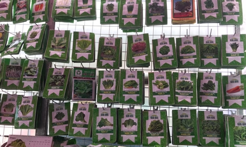 Đã có 46,8 nghìn doanh nghiệp tham gia Cơ chế một cửa quốc gia