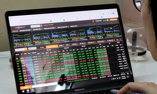 Giá tăng chóng mặt, mã nào vô địch trong nhóm 