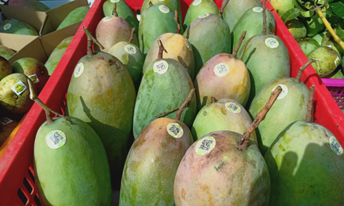 Nông dân Sơn La sẽ livestream bán nông sản trên nền tảng số