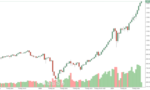 Blog chứng khoán: Cổ chứng khoán trần hàng loạt, cuộc vui lên cao trào