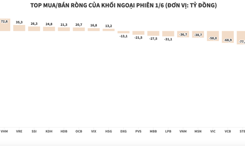Chỉ giao dịch phiên sáng, khối ngoại vẫn kịp xả ròng 549 tỷ đồng HPG