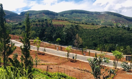 Lâm Đồng tạm dừng giải quyết hồ sơ tách thửa