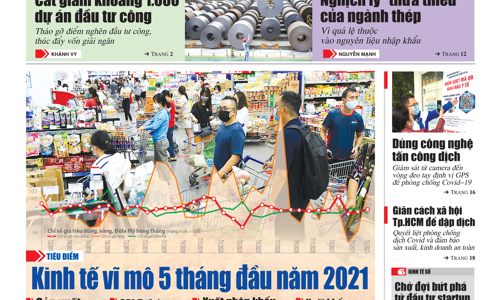 Tạp chí Kinh tế Việt Nam số 43