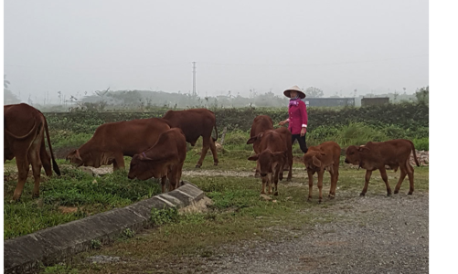 Liên bộ sẽ phối hợp tổ chức thanh kiểm tra các dự án “treo”