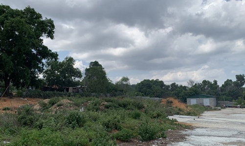 Bình Thuận: Thu hồi hàng loạt dự án chậm triển khai