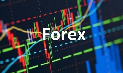 Lật tẩy thủ đoạn lừa đảo của các sàn Forex