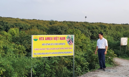 Xuất khẩu nông sản: Trái ngọt dành cho người có tâm