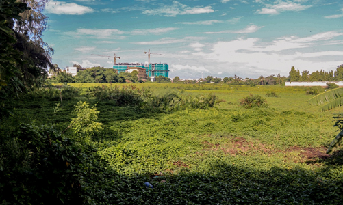 Thu hồi hai dự án “đất vàng” bị bỏ hoang 4 năm ở Phan Thiết