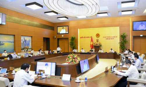 Báo cáo kết quả bầu cử: Nhiều 