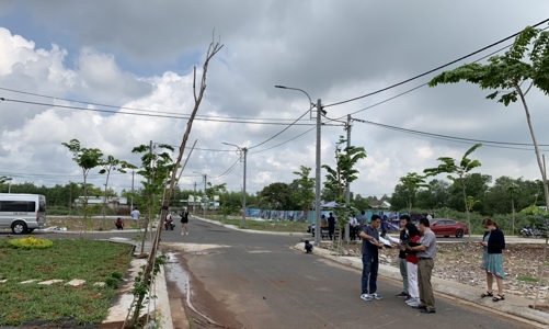 Săn đất nền các tỉnh phía Nam: Tránh tình trạng sau cơn sốt là khu đất hoang 