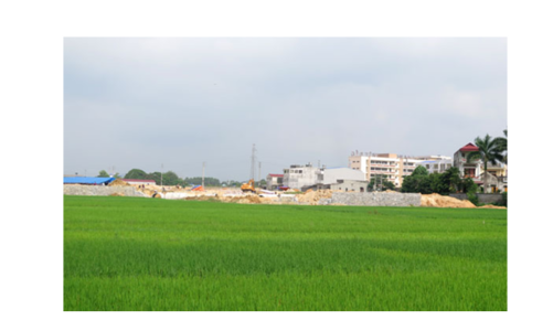 Báo cáo chuyển đổi đất trồng lúa, đất rừng phòng hộ làm dự án trước 15/7/2021