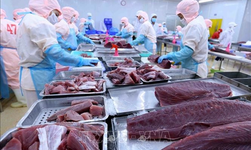 Vi phạm công bố thông tin, cổ phiếu TS4 bị ngừng giao dịch