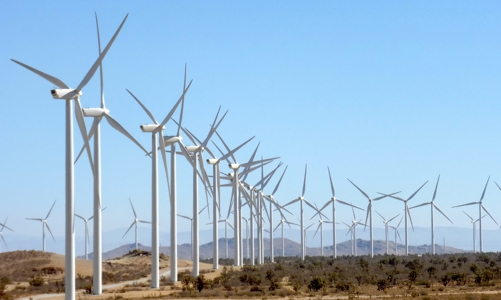 Thu hồi hơn 10ha đất rừng để tiếp tục thực hiện dự án trang trại điện gió lớn nhất nước