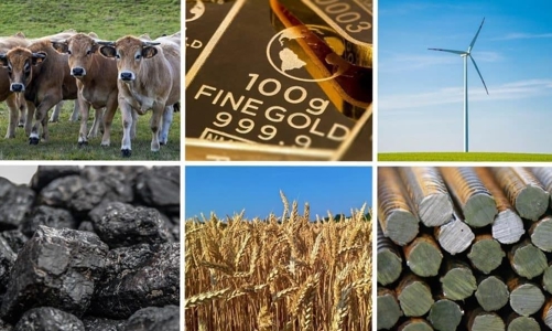 Giá hàng hoá cơ bản giảm đột ngột vì USD tăng giá, Trung Quốc xả dự trữ