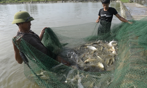 GEF phê duyệt hơn 46,6 triệu USD để hỗ trợ 8 quốc gia, trong đó có Việt Nam