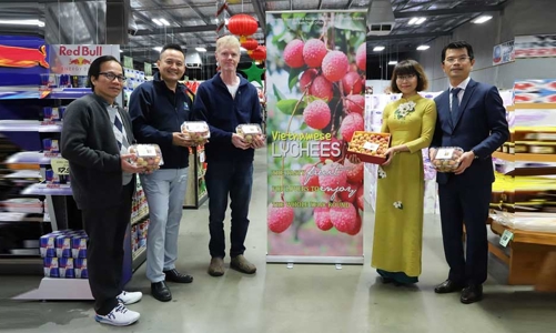 Một hộp vải tươi được đấu giá tới 3.000 đô la Úc