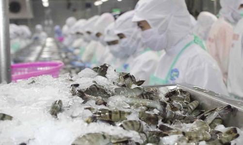 Xuất khẩu thuỷ sản sang Trung Quốc giảm liên tiếp do Covid