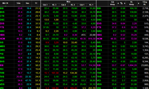 “Tiệc” cổ phiếu chứng khoán