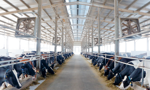 Tập đoàn Anova đổi tên thành Nova Consumer Group