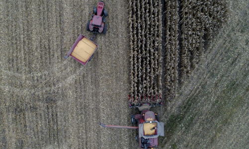 Phố Wall vẫn đang đặt cược vào sự tăng giá của nguyên vật liệu thô