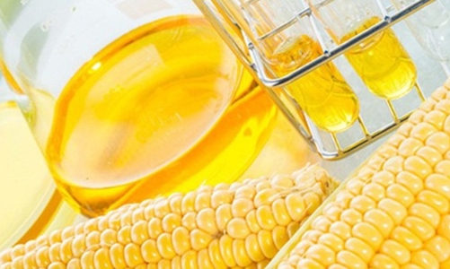 Gia hạn thời hạn điều tra với sản phẩm đường lỏng chiết xuất từ tinh bột ngô xuất xứ Trung Quốc, Hàn Quốc