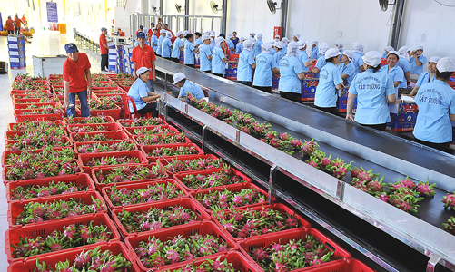 Tăng thị phần nông sản Việt tại Hàn Quốc 