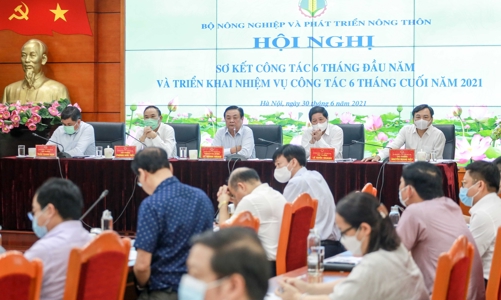 Xuất khẩu nông lâm thủy sản tăng trưởng ấn tượng bất chấp Covid-19 