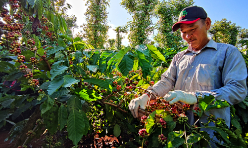 Nestlé Việt Nam và La Vie đẩy mạnh hợp tác quản lý nguồn nước