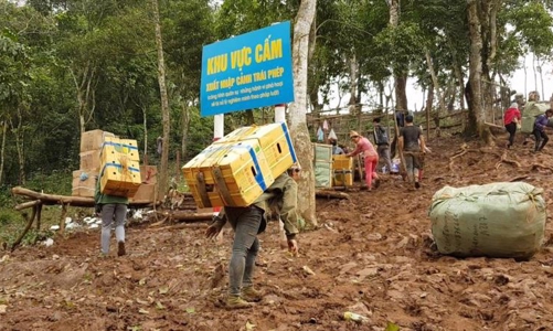 Hải quan thu về cho ngân sách 93,501 tỷ đồng qua chống buôn lậu, gian lận thương mại