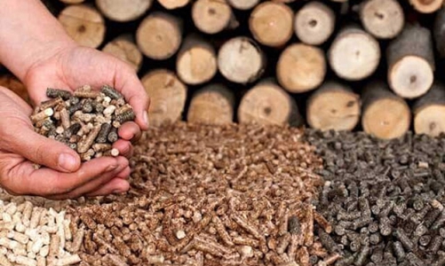 Việt Nam trở thành nước xuất khẩu viên nén lớn thứ hai thế giới 