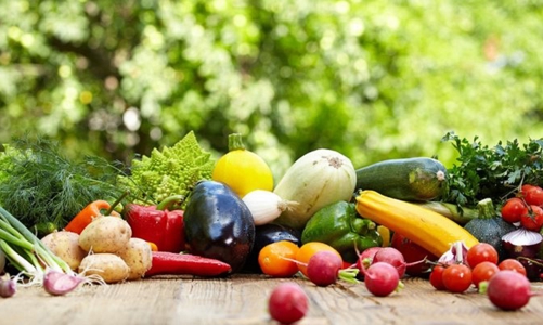 Dành  343,48 triệu USD triển khai dự án An toàn thực phẩm tại 5 địa phương